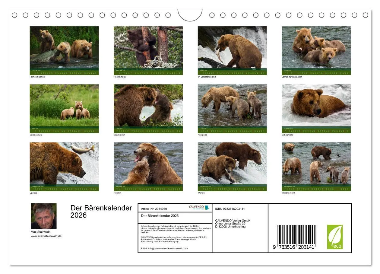 Bild: 9783516203141 | Der Bärenkalender 2026 (Wandkalender 2026 DIN A4 quer), CALVENDO...