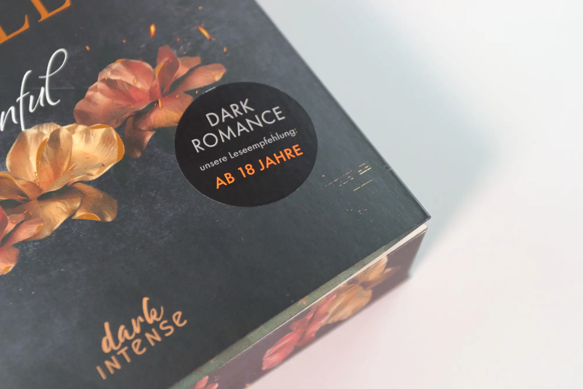 Bild: 9783743223141 | Chicago Ruthless (Band 1) - Sinful | Sadie Kincaid | Taschenbuch