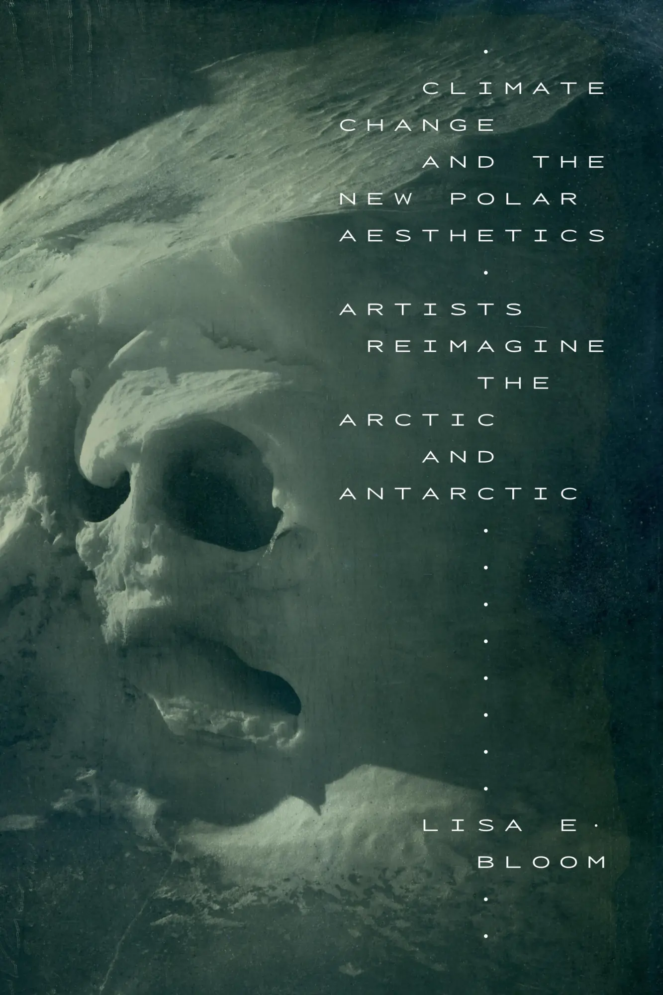 Cover: 9781478023241 | Climate Change and the New Polar Aesthetics | Lisa E Bloom | Buch