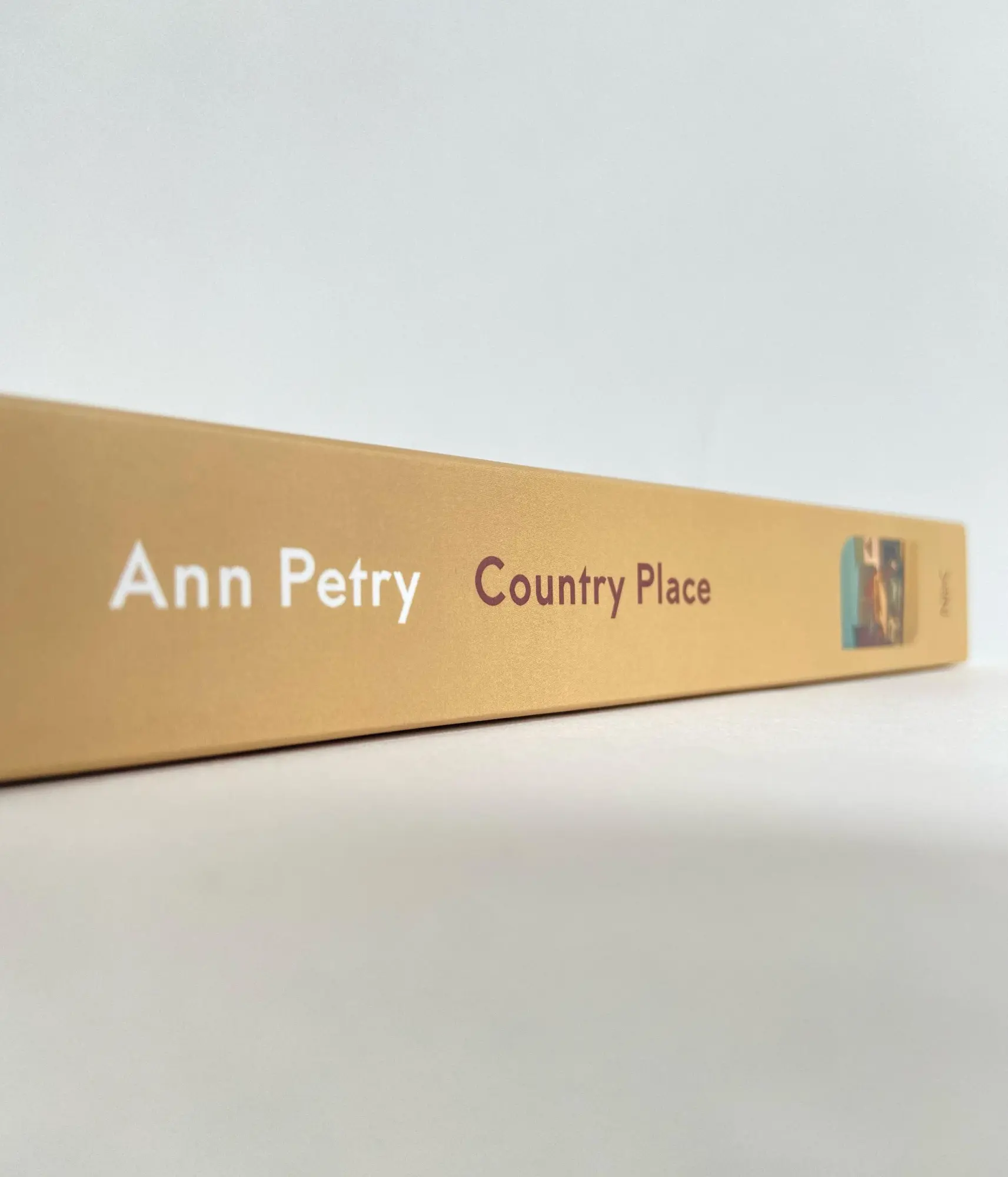 Bild: 9783312013241 | Country Place | Ann Petry | Taschenbuch | 336 S. | Deutsch | 2024