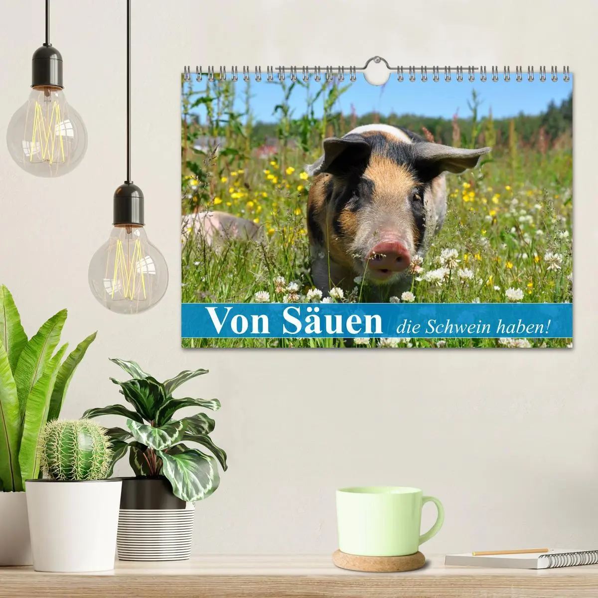 Bild: 9783516053241 | Von Säuen die Schwein haben! (Wandkalender 2026 DIN A4 quer),...