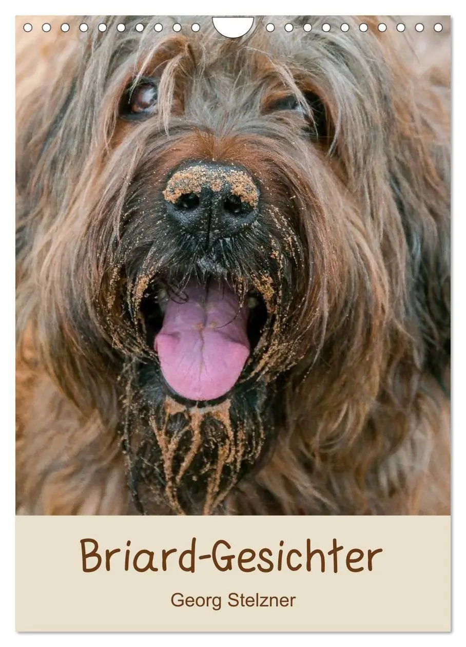 Cover: 9783516433241 | Briard-Gesichter (Wandkalender 2026 DIN A4 hoch), CALVENDO...