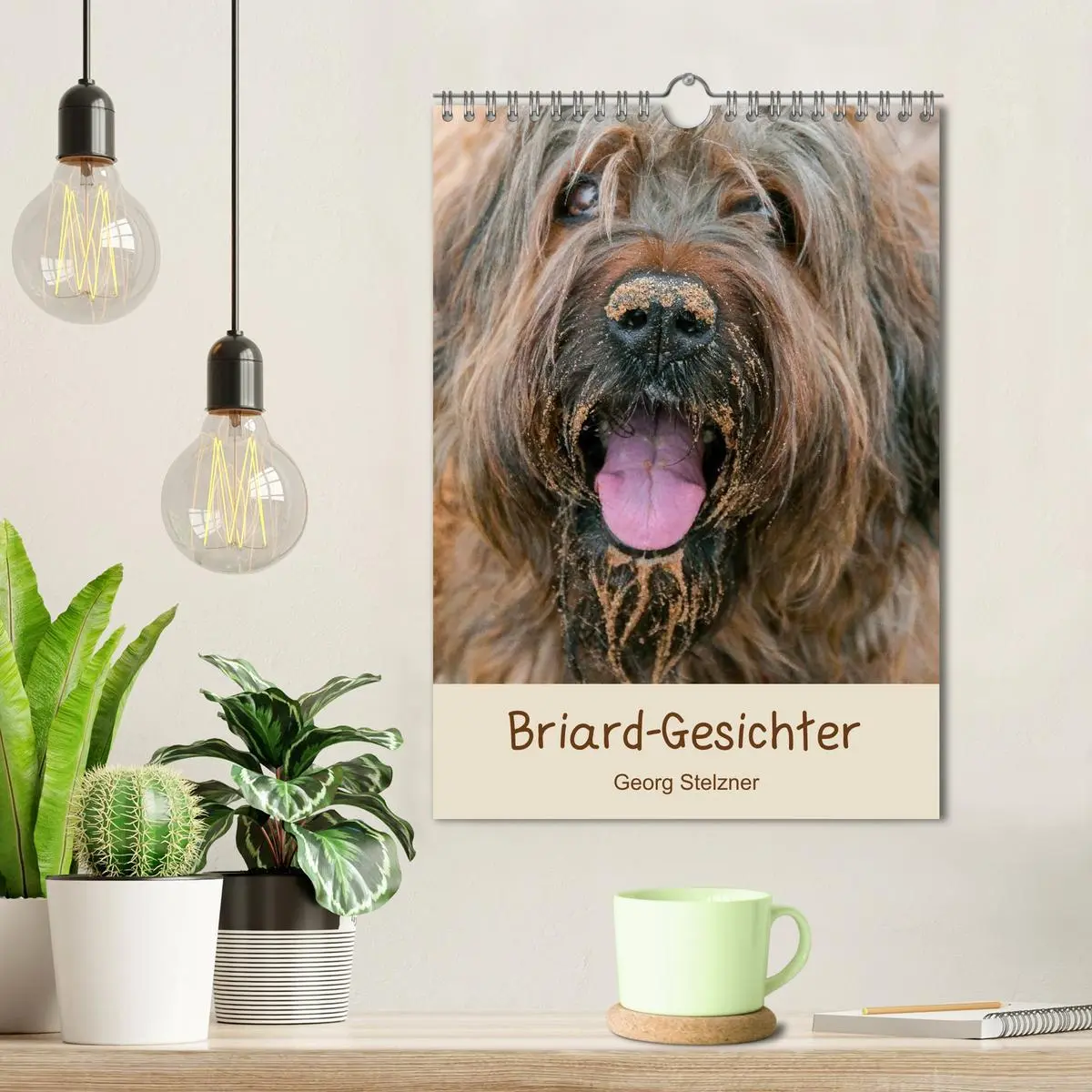 Bild: 9783516433241 | Briard-Gesichter (Wandkalender 2026 DIN A4 hoch), CALVENDO...