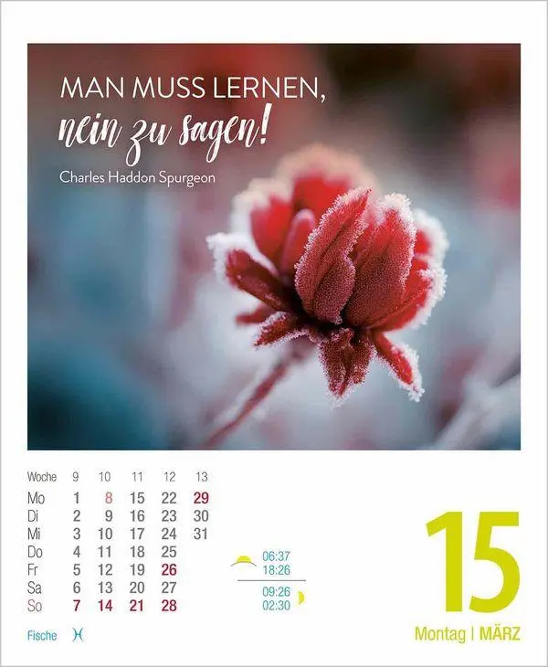 Bild: 9783819303241 | Zeit für mich 2027 | Aufstellbarer Tages-Abreisskalender. 12 x 16 cm