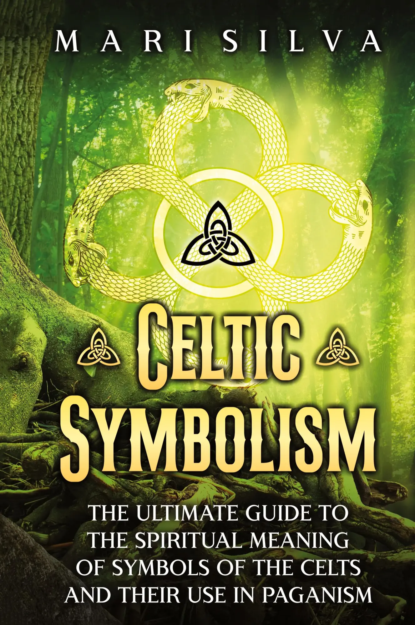 Cover: 9781638183341 | Celtic Symbolism | Mari Silva | Buch | Englisch | 2024 | Primasta