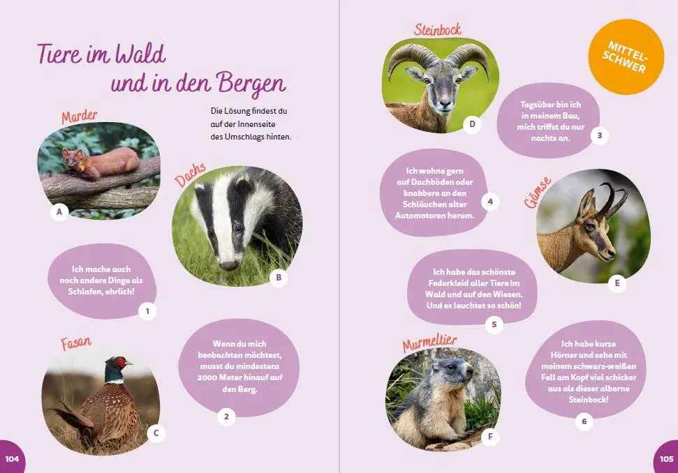 Bild: 9783946323341 | Österreich for kids | Britta Schmidt von Groeling | Taschenbuch | 2024