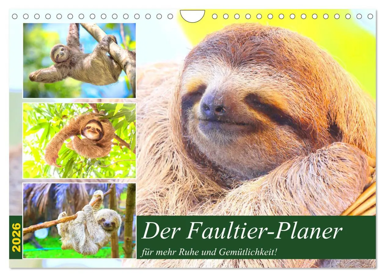 Cover: 9783457633441 | Der Faultier-Planer für mehr Ruhe und Gemütlichkeit! (Wandkalender...