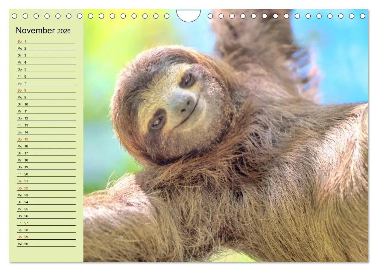 Bild: 9783457633441 | Der Faultier-Planer für mehr Ruhe und Gemütlichkeit! (Wandkalender...