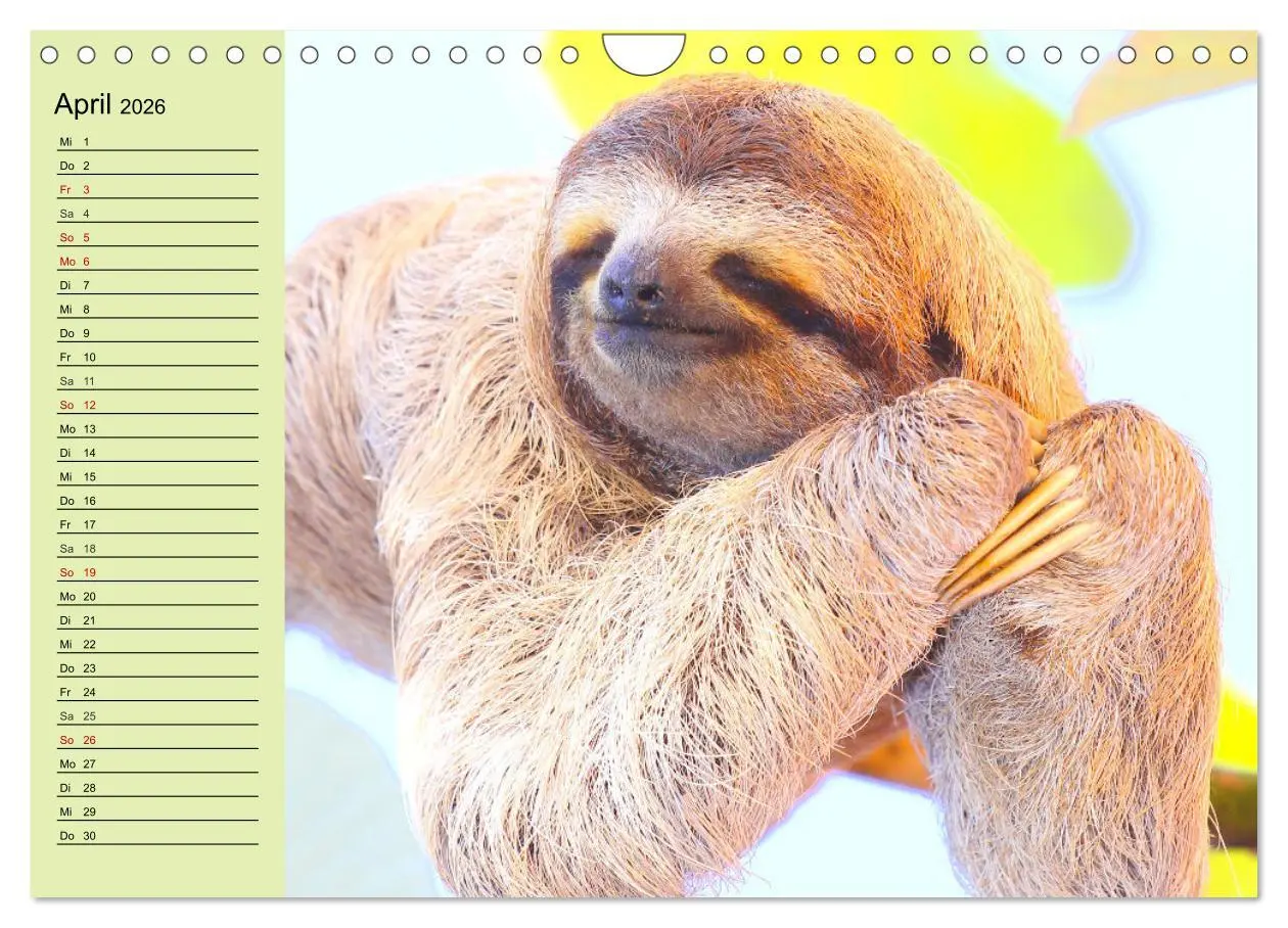 Bild: 9783457633441 | Der Faultier-Planer für mehr Ruhe und Gemütlichkeit! (Wandkalender...