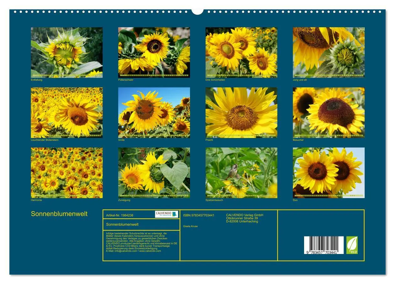 Bild: 9783457703441 | Sonnenblumenwelt (hochwertiger Premium Wandkalender 2026 DIN A2...