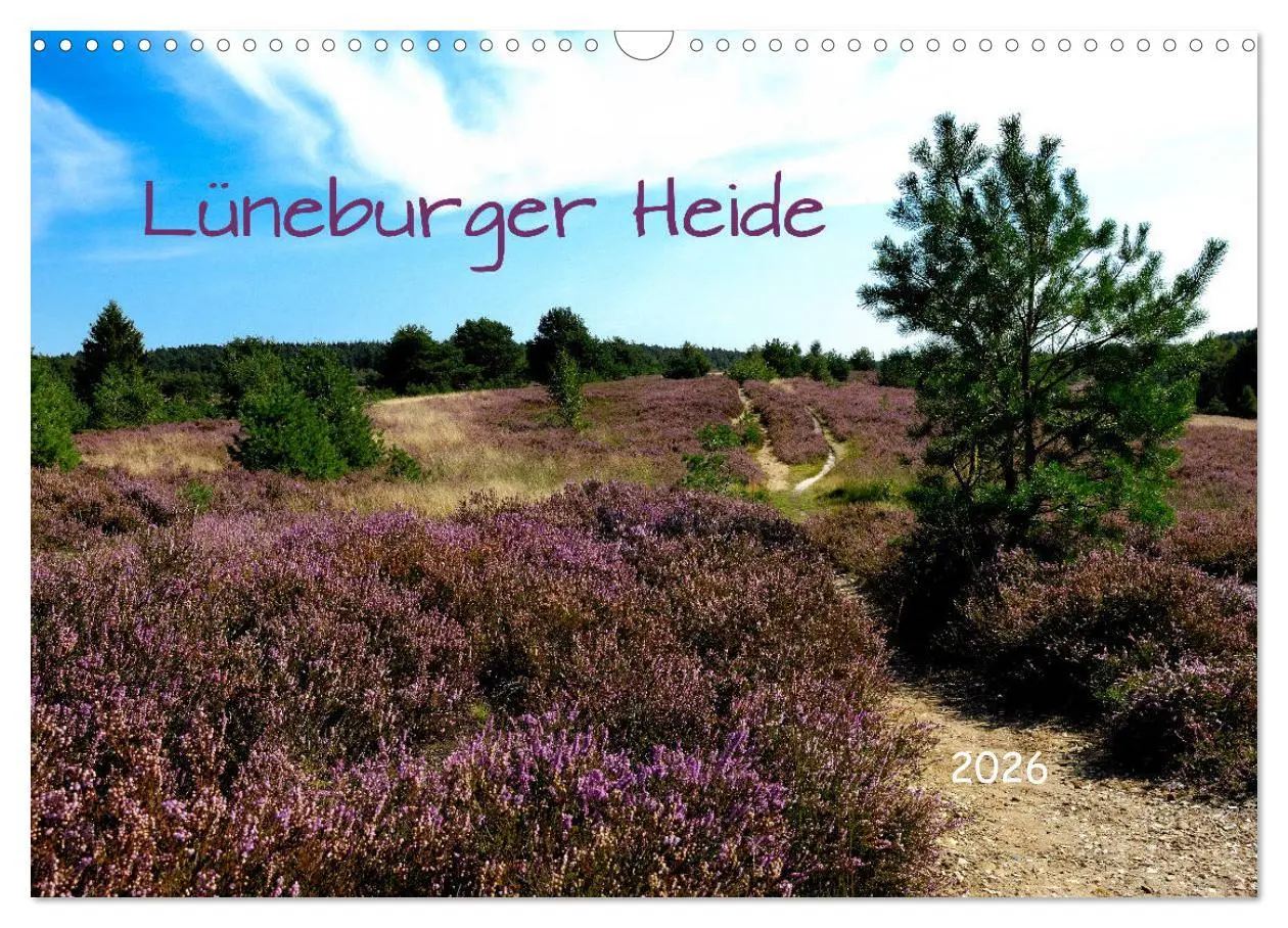 Cover: 9783457873441 | Lüneburger Heide (Wandkalender 2026 DIN A3 quer), CALVENDO...