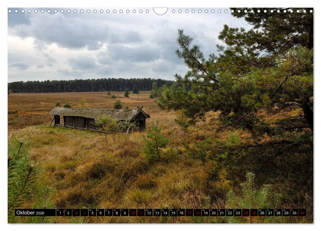 Bild: 9783457873441 | Lüneburger Heide (Wandkalender 2026 DIN A3 quer), CALVENDO...