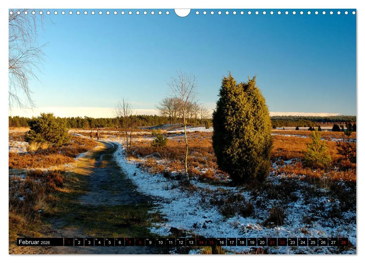 Bild: 9783457873441 | Lüneburger Heide (Wandkalender 2026 DIN A3 quer), CALVENDO...