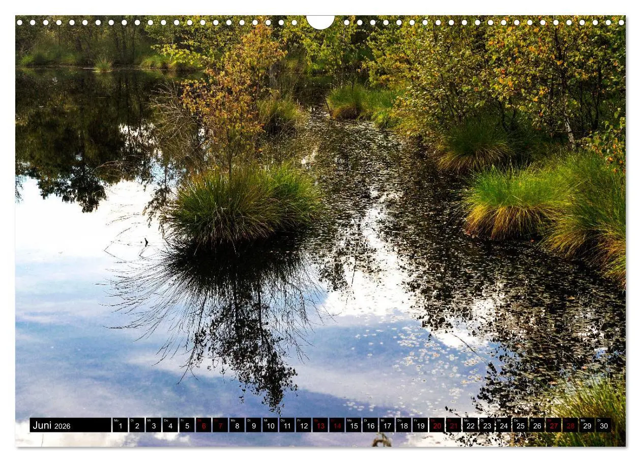 Bild: 9783457873441 | Lüneburger Heide (Wandkalender 2026 DIN A3 quer), CALVENDO...