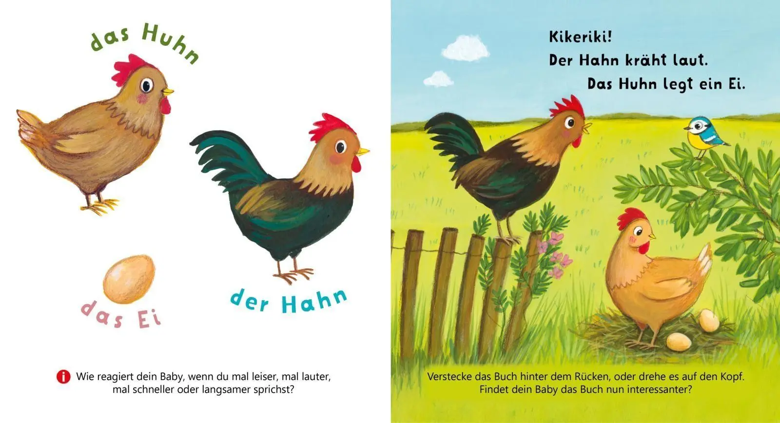Bild: 9783551063441 | Baby Pixi (unkaputtbar) 179: Mein Baby-Pixi-Buggybuch: Allererste...