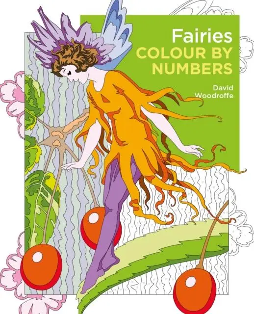Cover: 9781398803541 | Fairies Colour by Numbers | David Woodroffe | Taschenbuch | Englisch