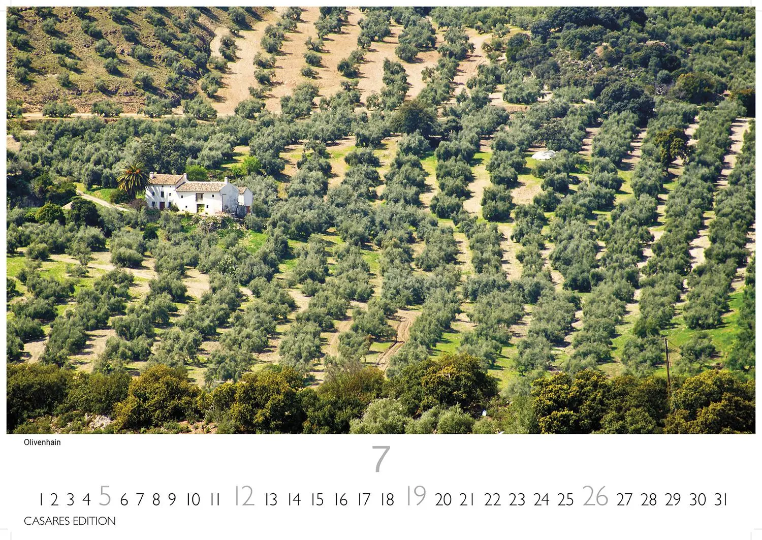 Bild: 9781835243541 | Spanien 2026 L 35x50cm | Kalender | 14 S. | Deutsch | 2026