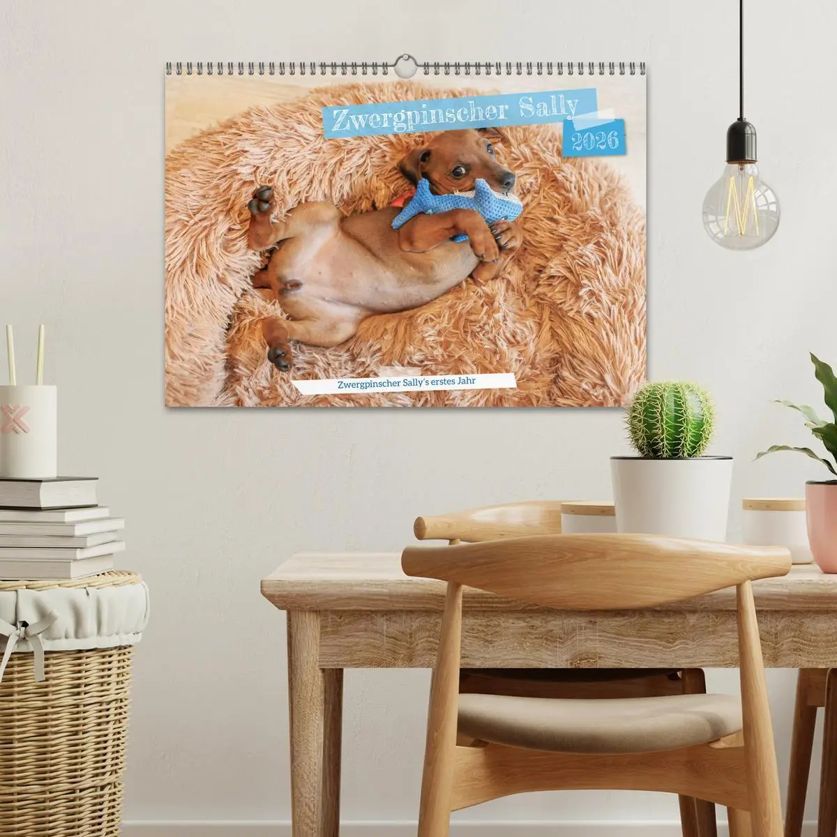 Bild: 9783457483541 | Zwergpinscher Sally's erstes Jahr (Wandkalender 2026 DIN A3 quer),...