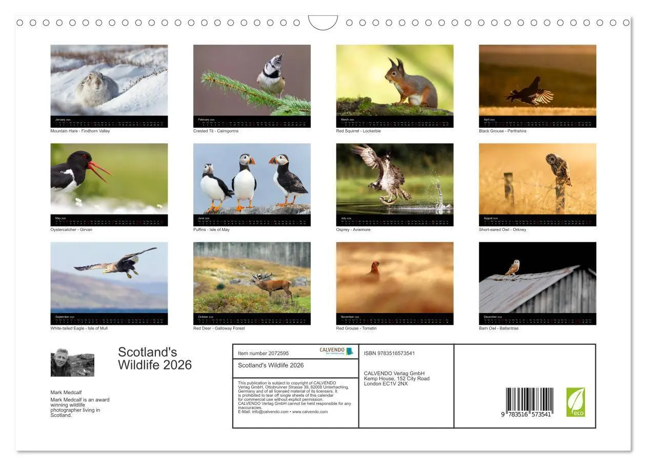Bild: 9783516573541 | Scotland's Wildlife 2026 (Wall Calendar 2026 DIN A3 landscape),...
