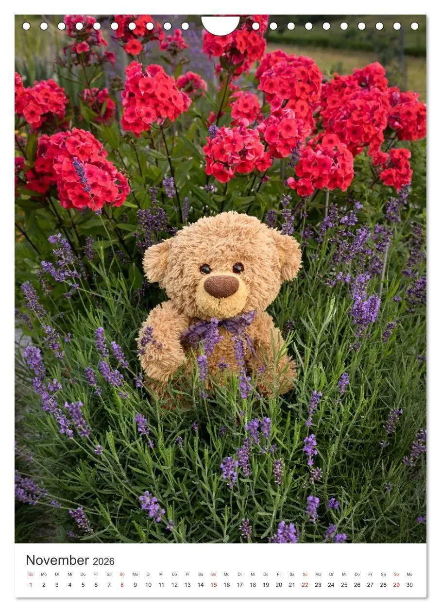 Bild: 9783516713541 | Travelling Teddy liebt Blumen und Blüten (Wandkalender 2026 DIN A4...