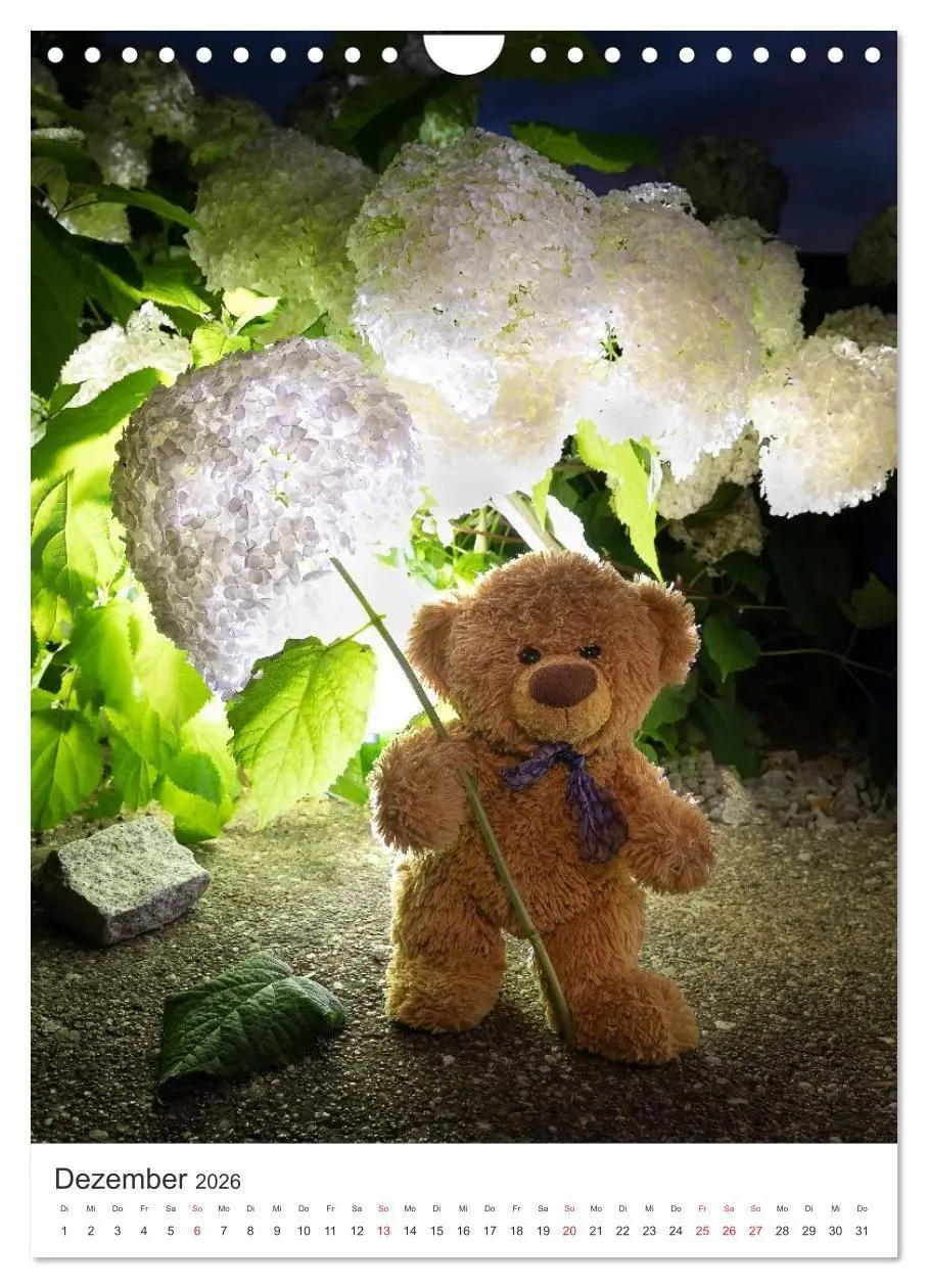 Bild: 9783516713541 | Travelling Teddy liebt Blumen und Blüten (Wandkalender 2026 DIN A4...