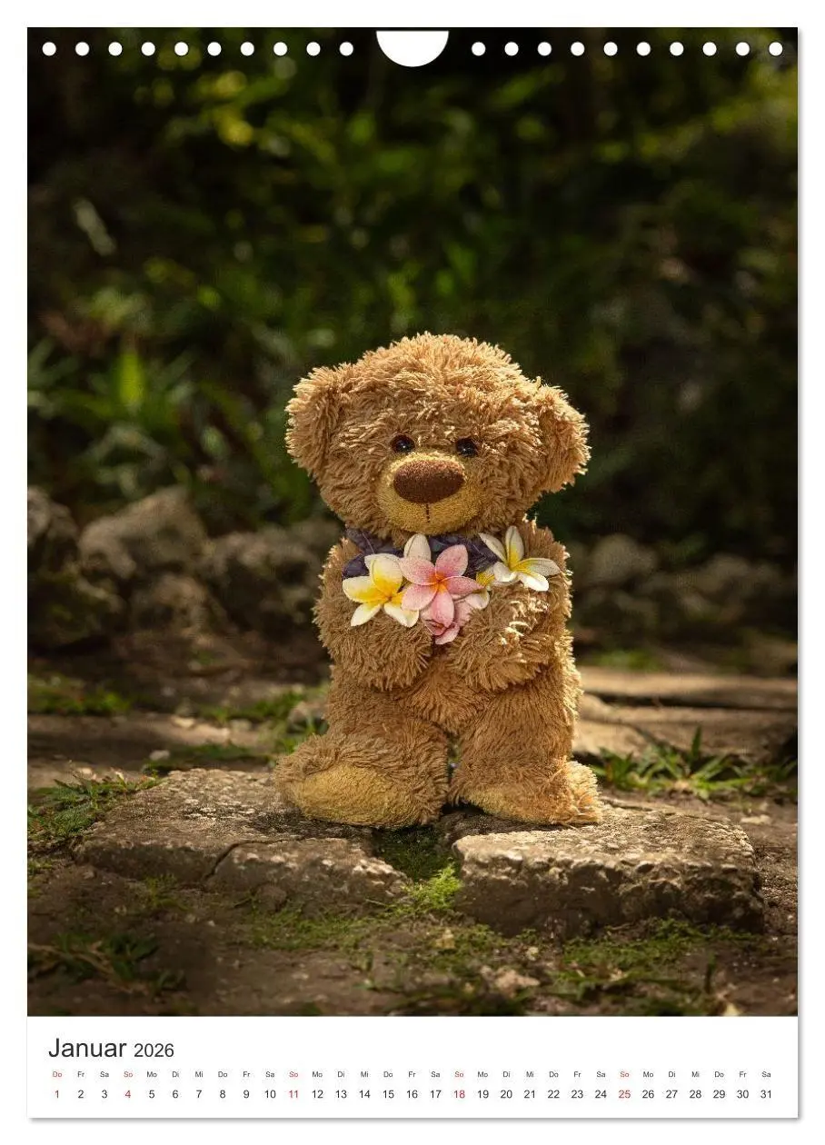 Bild: 9783516713541 | Travelling Teddy liebt Blumen und Blüten (Wandkalender 2026 DIN A4...