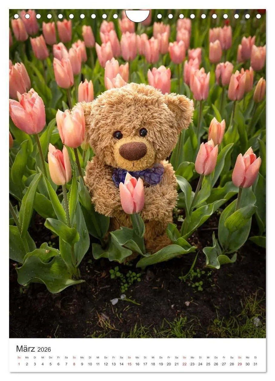 Bild: 9783516713541 | Travelling Teddy liebt Blumen und Blüten (Wandkalender 2026 DIN A4...