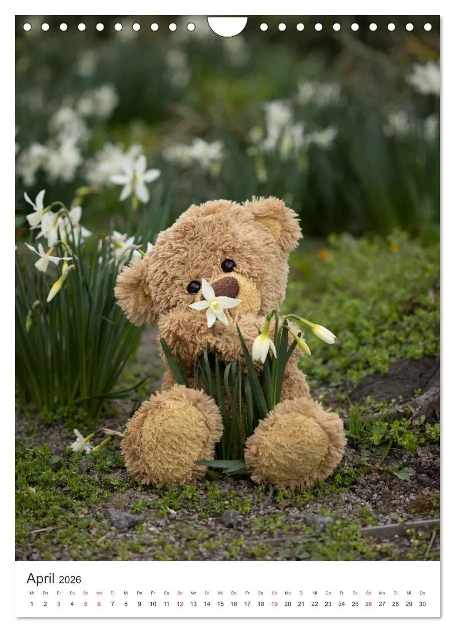 Bild: 9783516713541 | Travelling Teddy liebt Blumen und Blüten (Wandkalender 2026 DIN A4...