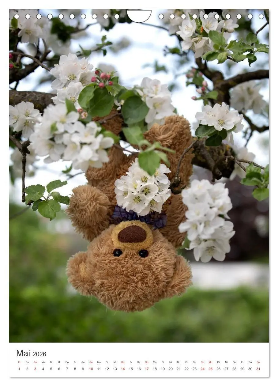 Bild: 9783516713541 | Travelling Teddy liebt Blumen und Blüten (Wandkalender 2026 DIN A4...