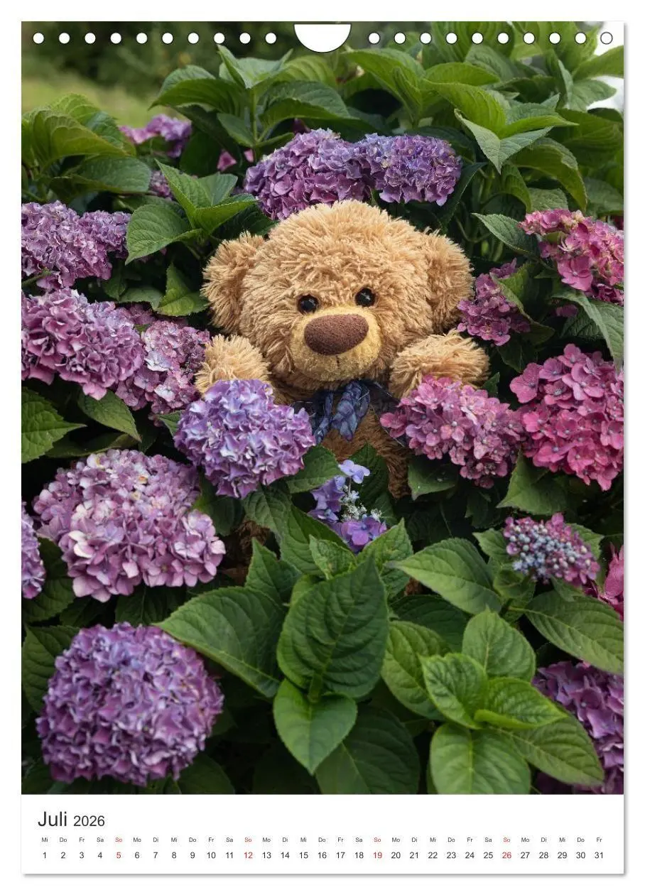 Bild: 9783516713541 | Travelling Teddy liebt Blumen und Blüten (Wandkalender 2026 DIN A4...