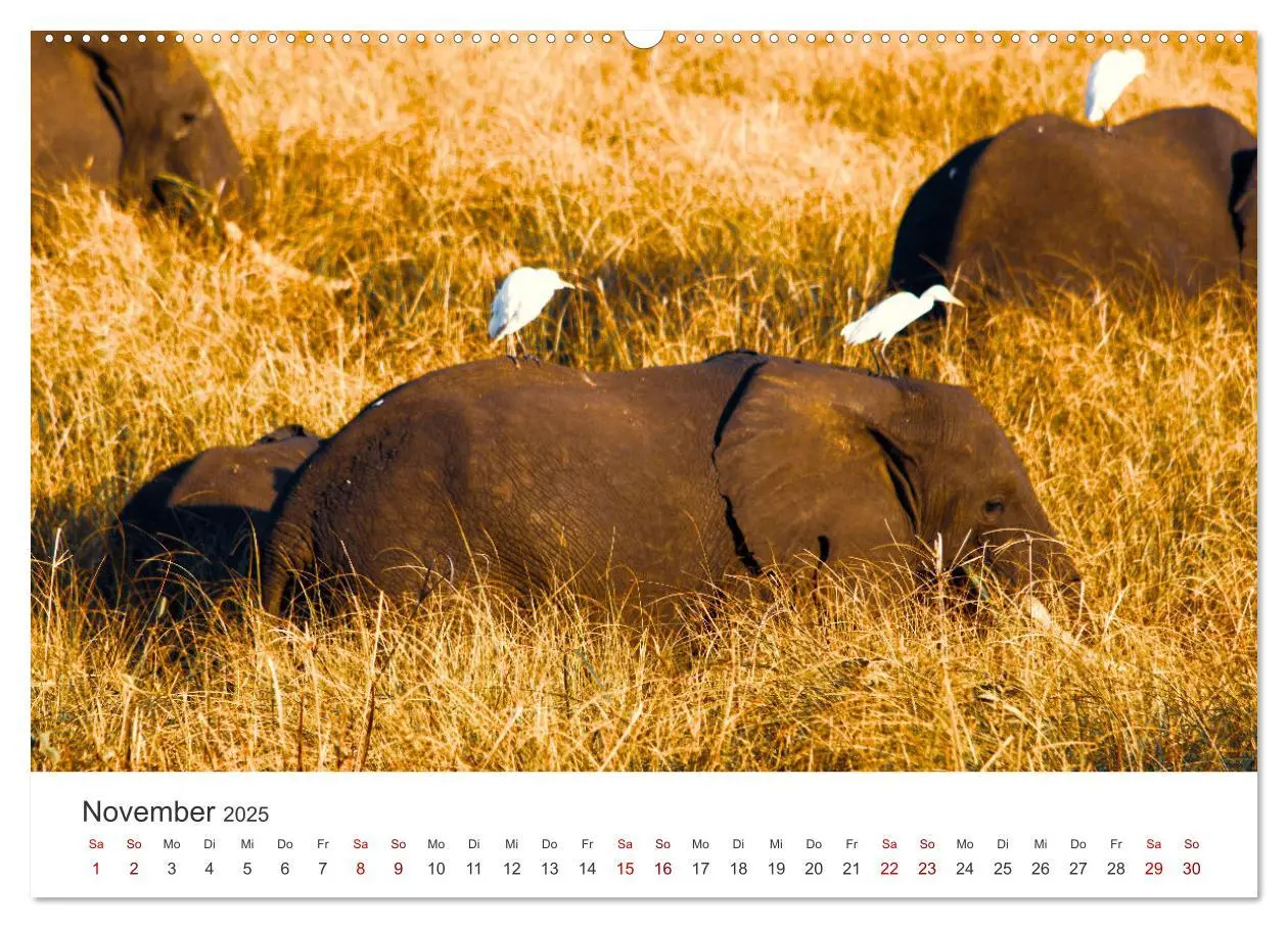 Bild: 9783383983641 | Mosambik - Eine Perle im Süden Afrikas. (Wandkalender 2025 DIN A2...