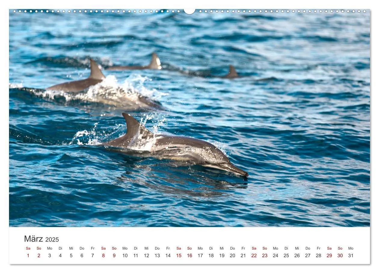 Bild: 9783383983641 | Mosambik - Eine Perle im Süden Afrikas. (Wandkalender 2025 DIN A2...