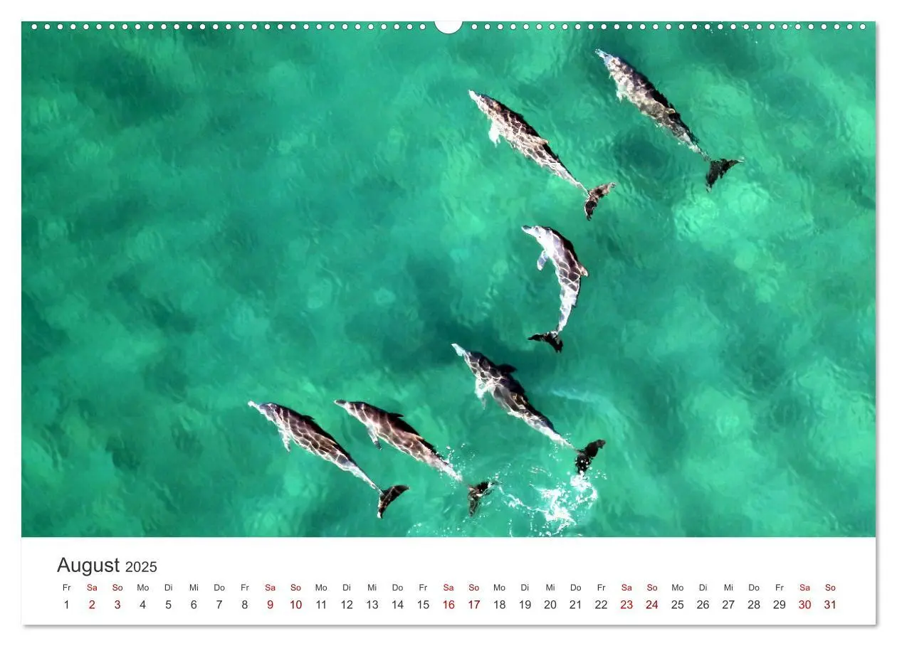 Bild: 9783383983641 | Mosambik - Eine Perle im Süden Afrikas. (Wandkalender 2025 DIN A2...