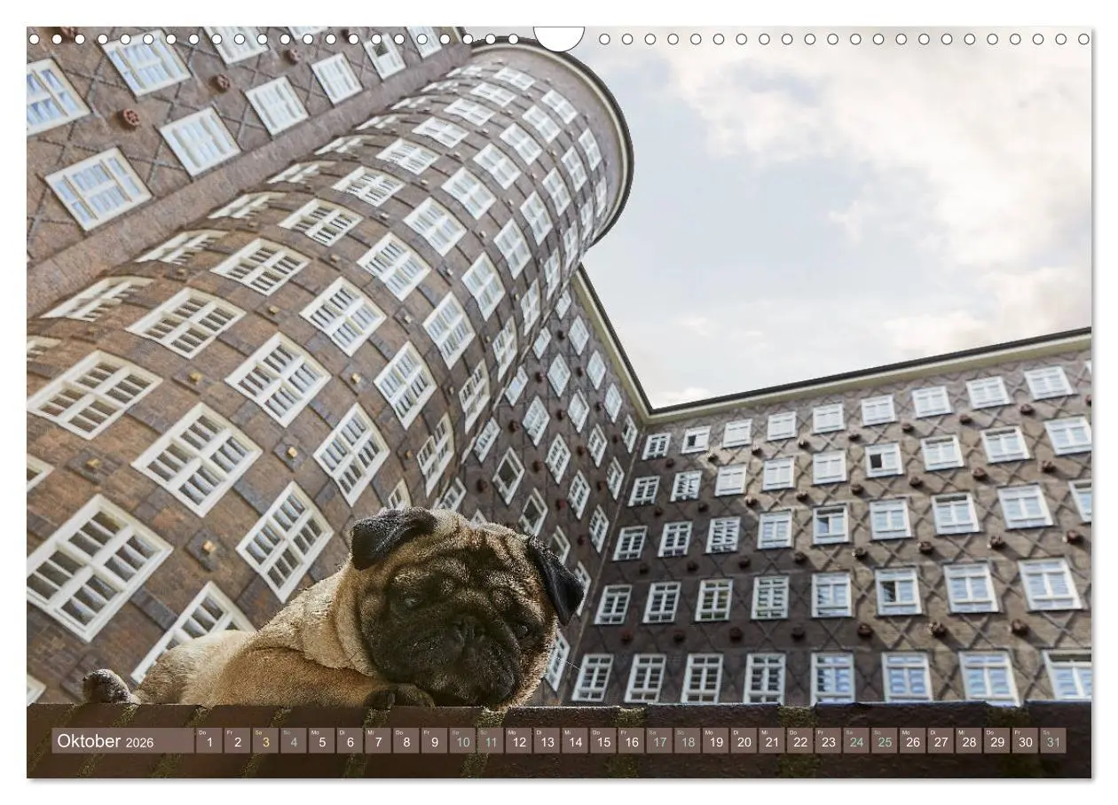 Bild: 9783457853641 | Hamburg - Stadt der Möpse (Wandkalender 2026 DIN A3 quer), CALVENDO...