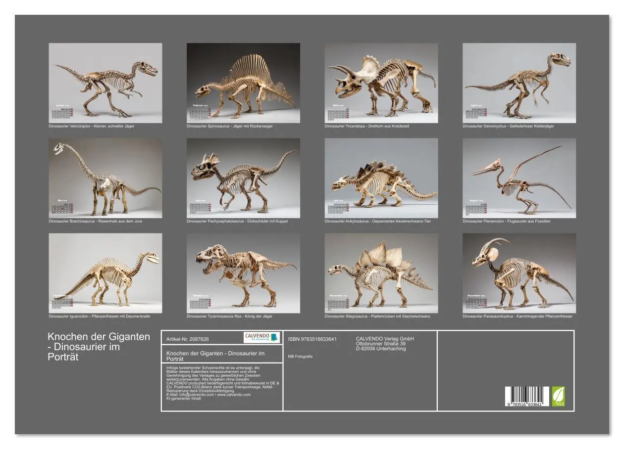 Bild: 9783516633641 | Knochen der Giganten - Dinosaurier im Porträt (Wandkalender 2026...
