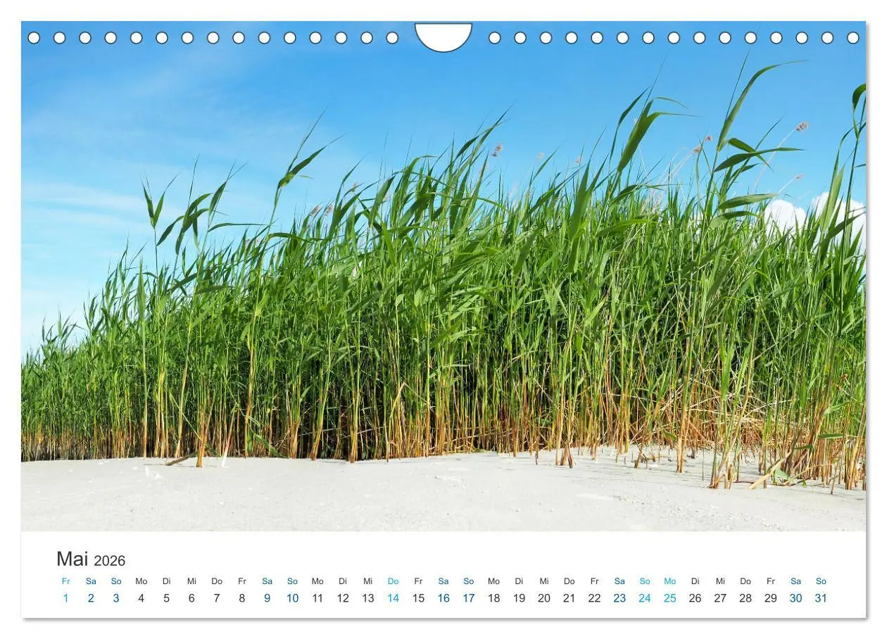 Bild: 9783457913741 | Deutsche Küste - Nordsee und Ostsee (Wandkalender 2026 DIN A4...