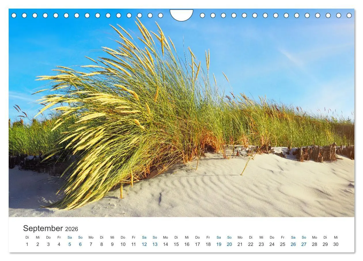 Bild: 9783457913741 | Deutsche Küste - Nordsee und Ostsee (Wandkalender 2026 DIN A4...