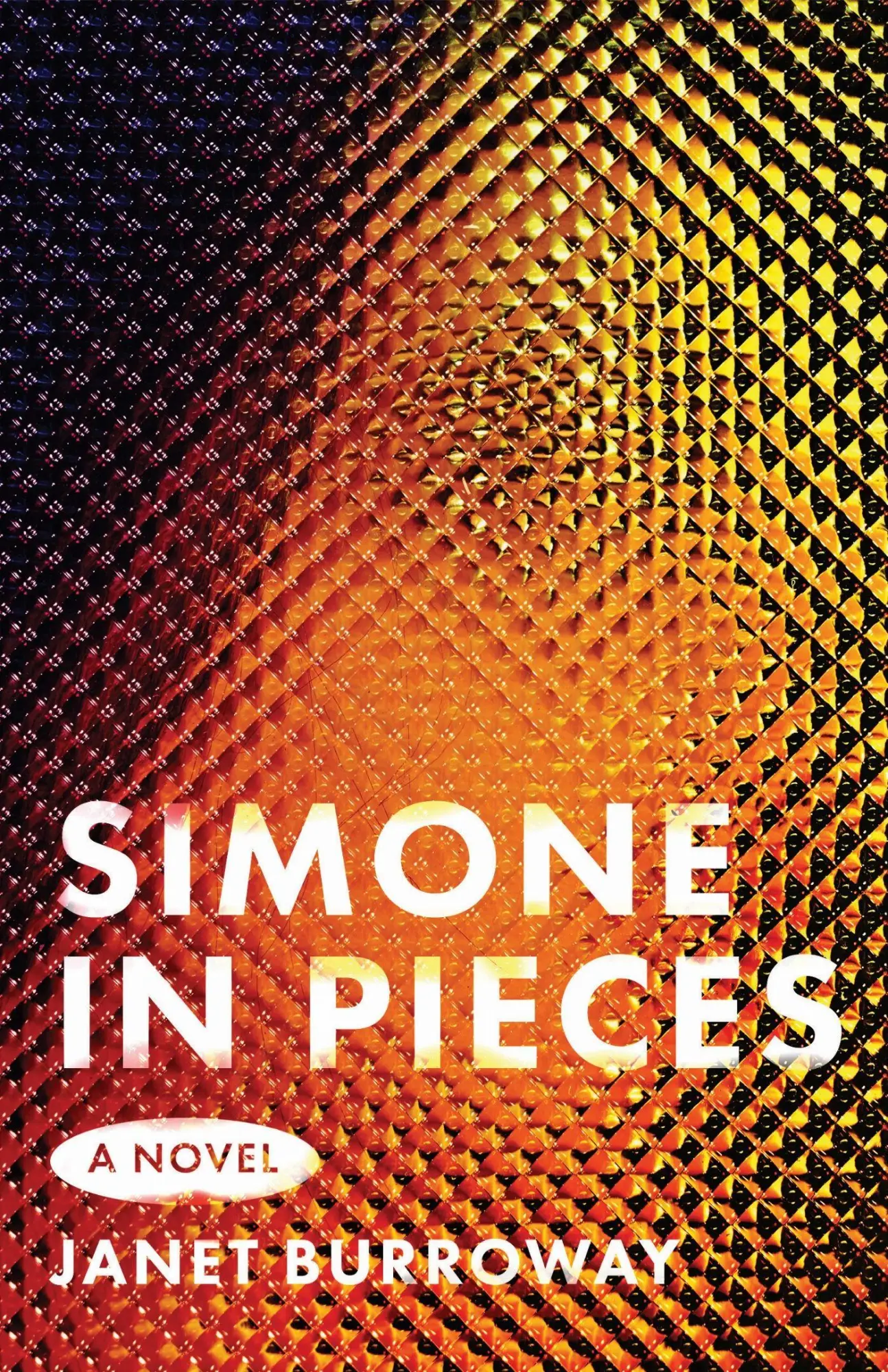 Cover: 9780299353841 | Simone in Pieces | Janet Burroway | Taschenbuch | Englisch | 2025