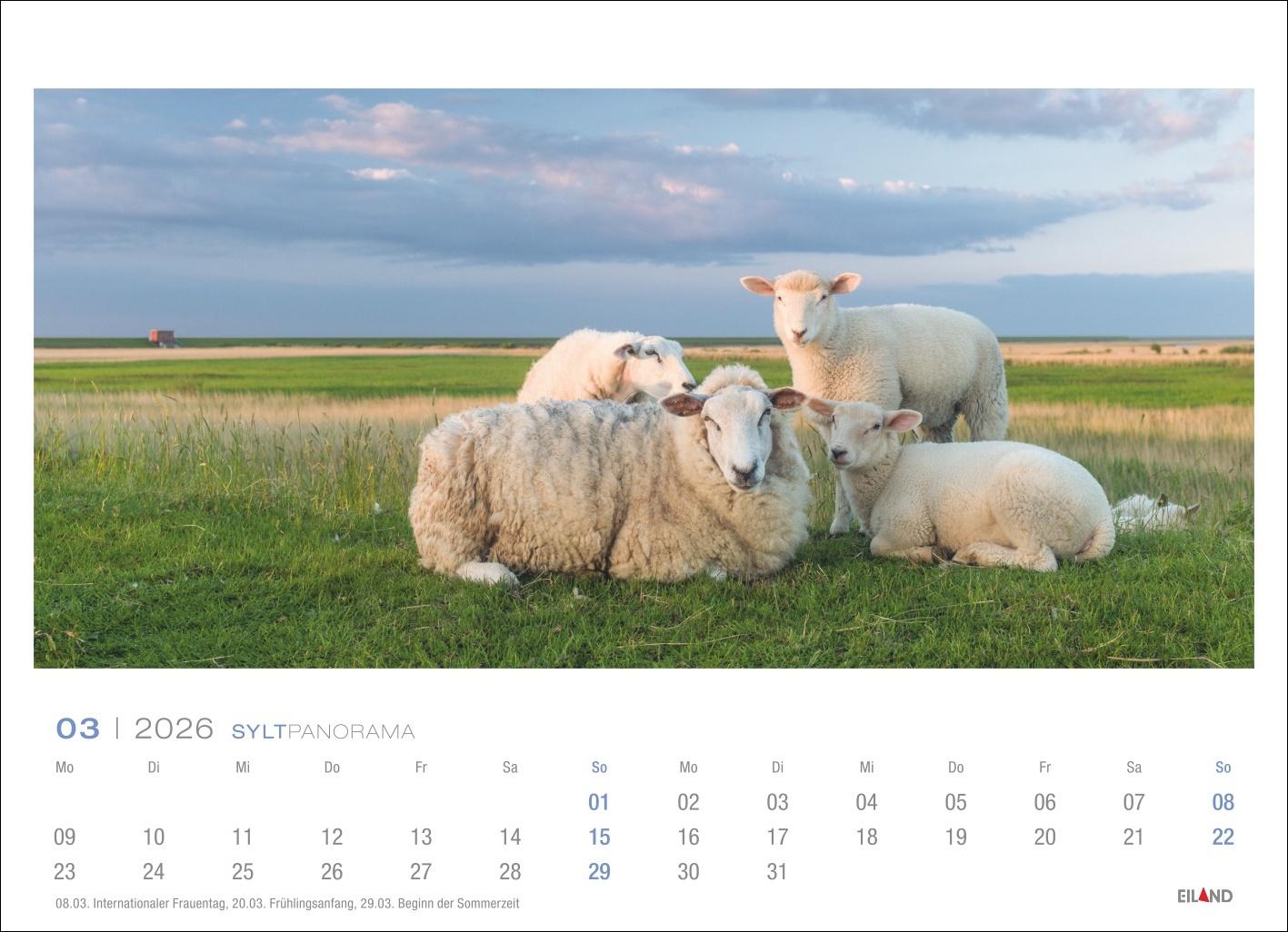 Bild: 9783964023841 | Sylt Panorama Postkartenkalender 2026 - Hans Jessel | Hans Jessel