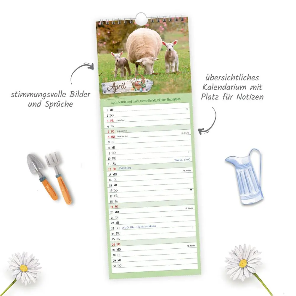 Bild: 9783988023841 | Trötsch Maxi-Streifenkalender Landliebe 2026 | Wandkalender | KG