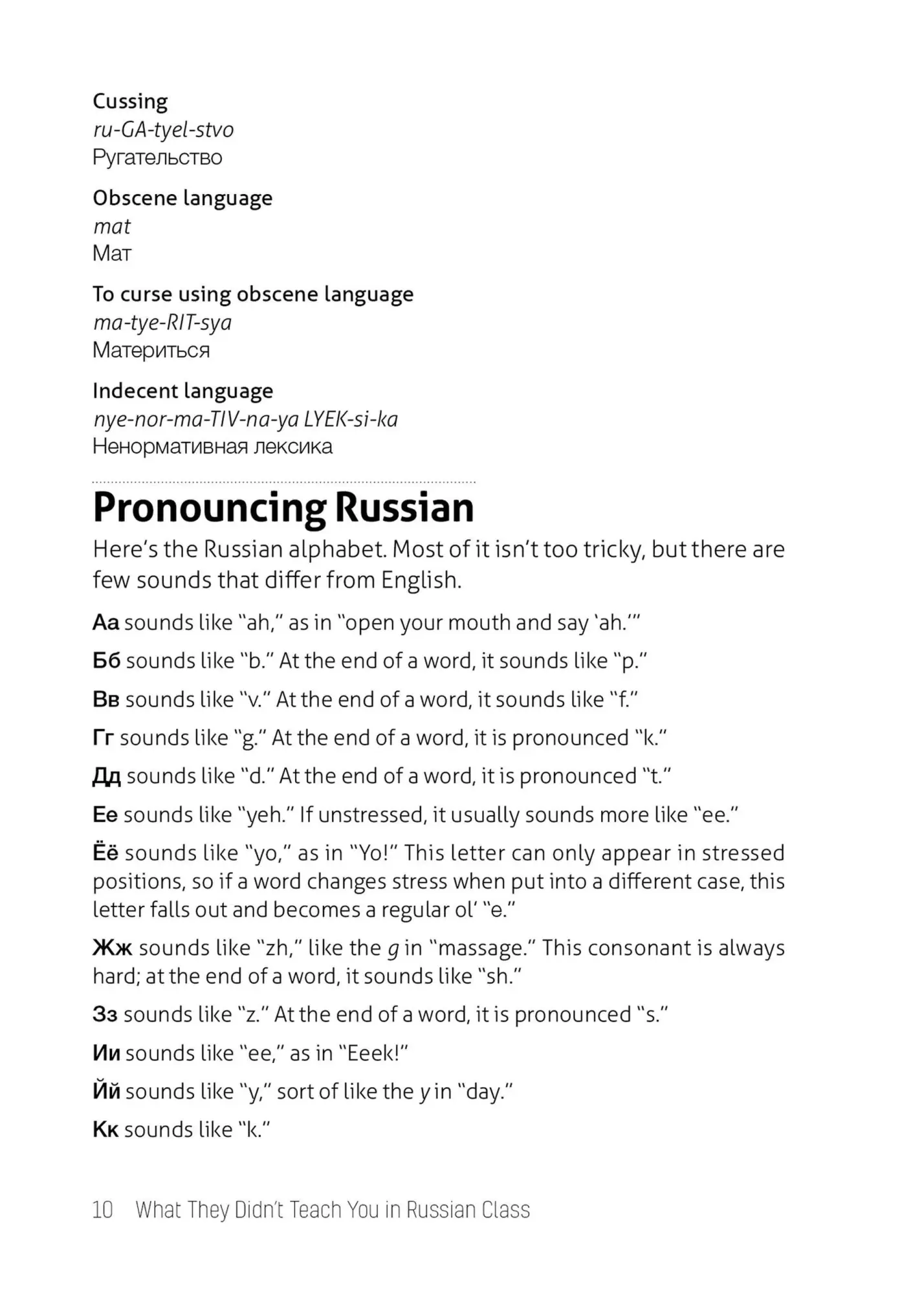 Bild: 9781646043941 | What They Didn't Teach You in Russian Class | Erin Coyne (u. a.)