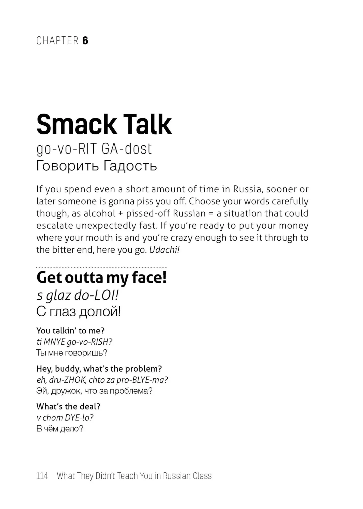 Bild: 9781646043941 | What They Didn't Teach You in Russian Class | Erin Coyne (u. a.)