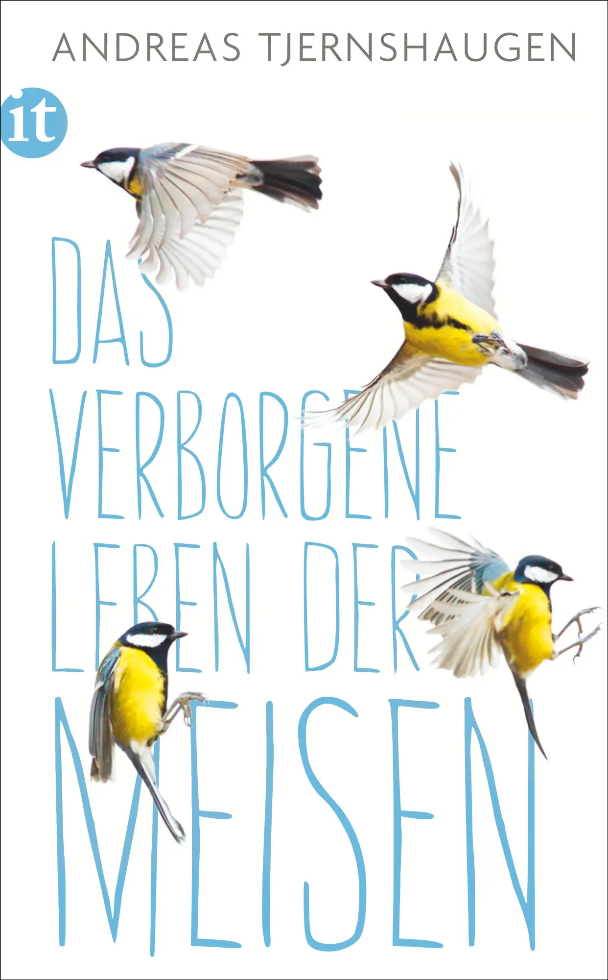 Cover: 9783458363941 | Das verborgene Leben der Meisen | Andreas Tjernshaugen | Taschenbuch
