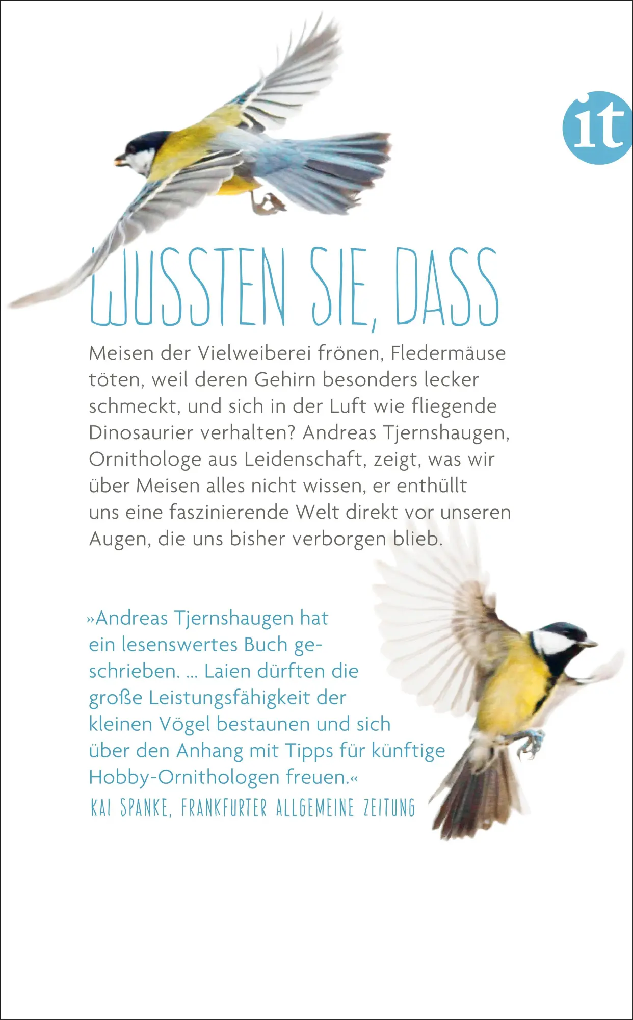 Rückseite: 9783458363941 | Das verborgene Leben der Meisen | Andreas Tjernshaugen | Taschenbuch
