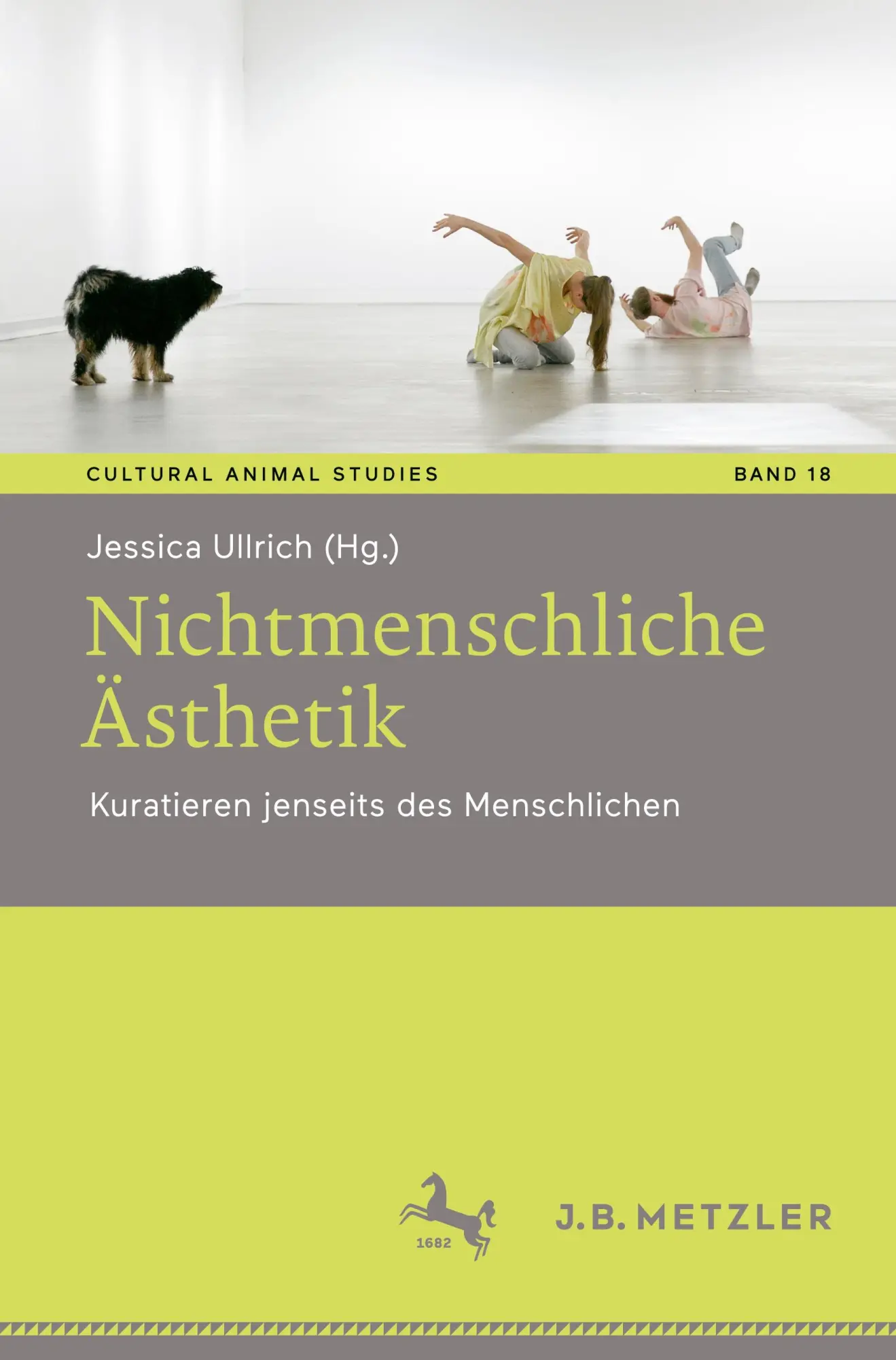 Cover: 9783662683941 | Nichtmenschliche Ästhetik | Kuratieren jenseits des Menschlichen | x