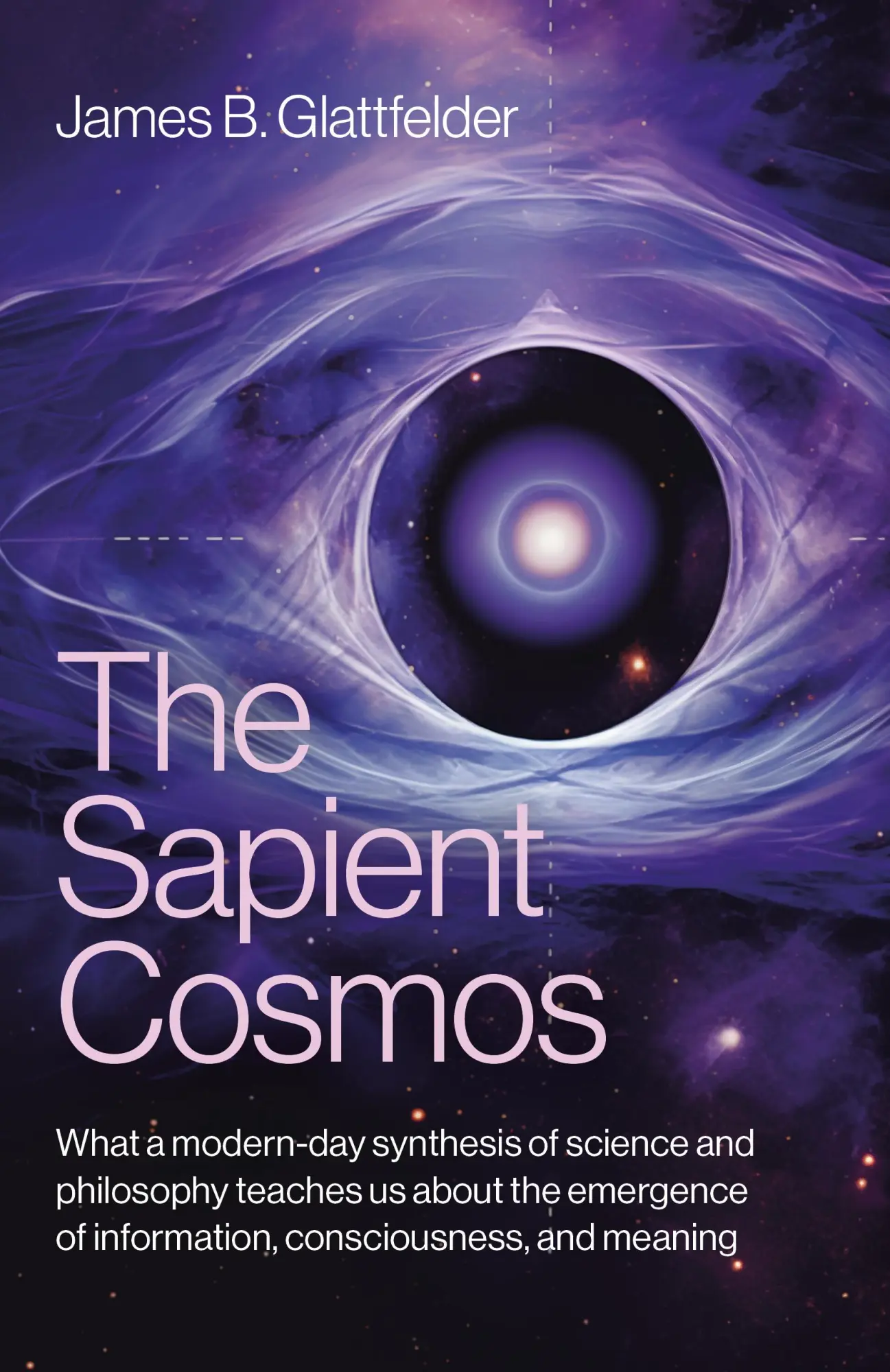 Cover: 9781803414041 | The Sapient Cosmos | James B Glattfelder | Taschenbuch | Englisch