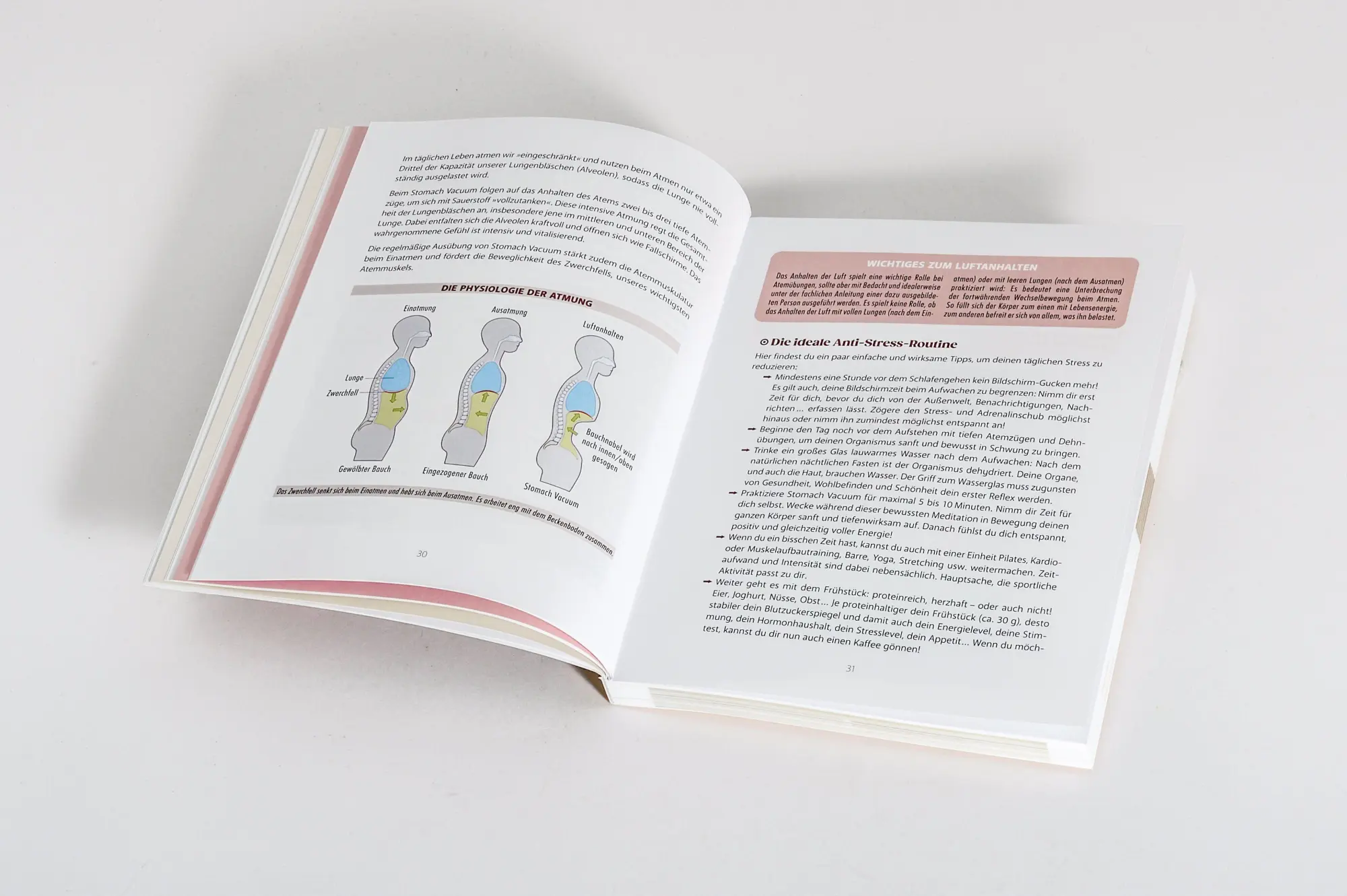 Bild: 9783517104041 | Der Bauchfett-weg-Trick | Anouk Hamel | Taschenbuch | 216 S. | Deutsch