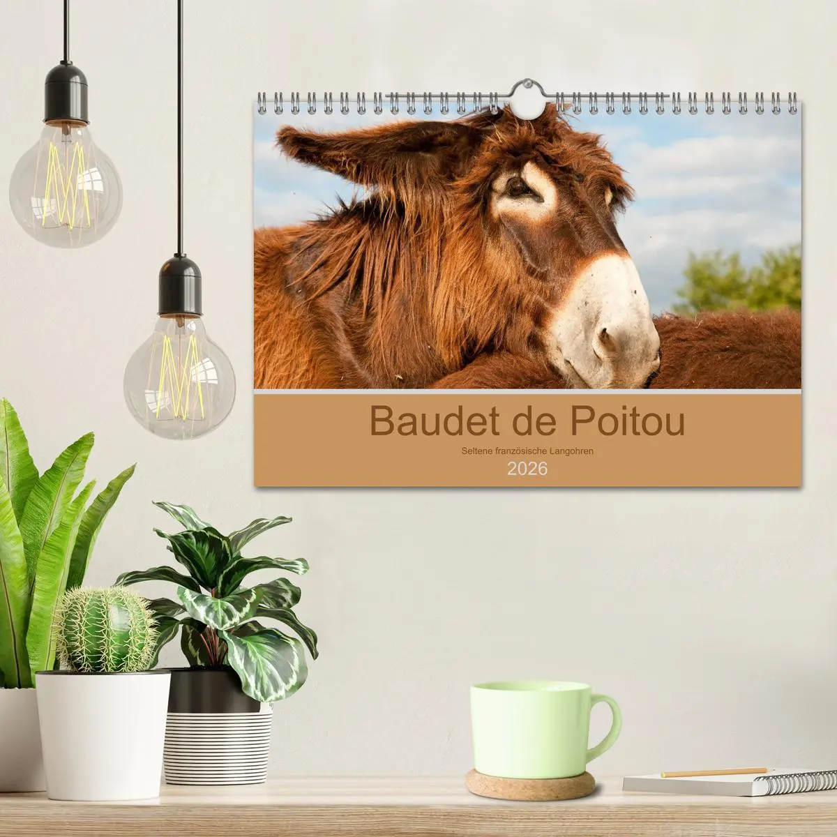 Bild: 9783457874141 | Baudet de Poitou - Seltene französische Langohren (Wandkalender...