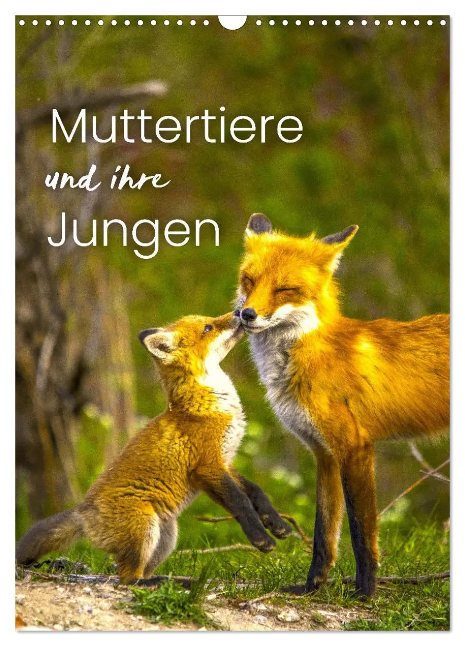 Cover: 9783516344141 | Muttertiere und ihre Jungen (Wandkalender 2026 DIN A3 hoch),...