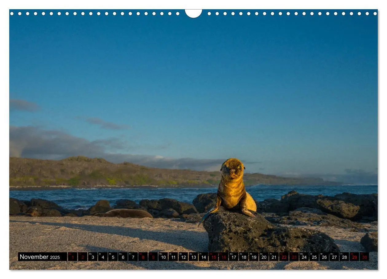 Bild: 9783383994241 | Ecuador - Naturparadies am Äquator (Wandkalender 2025 DIN A3 quer),...